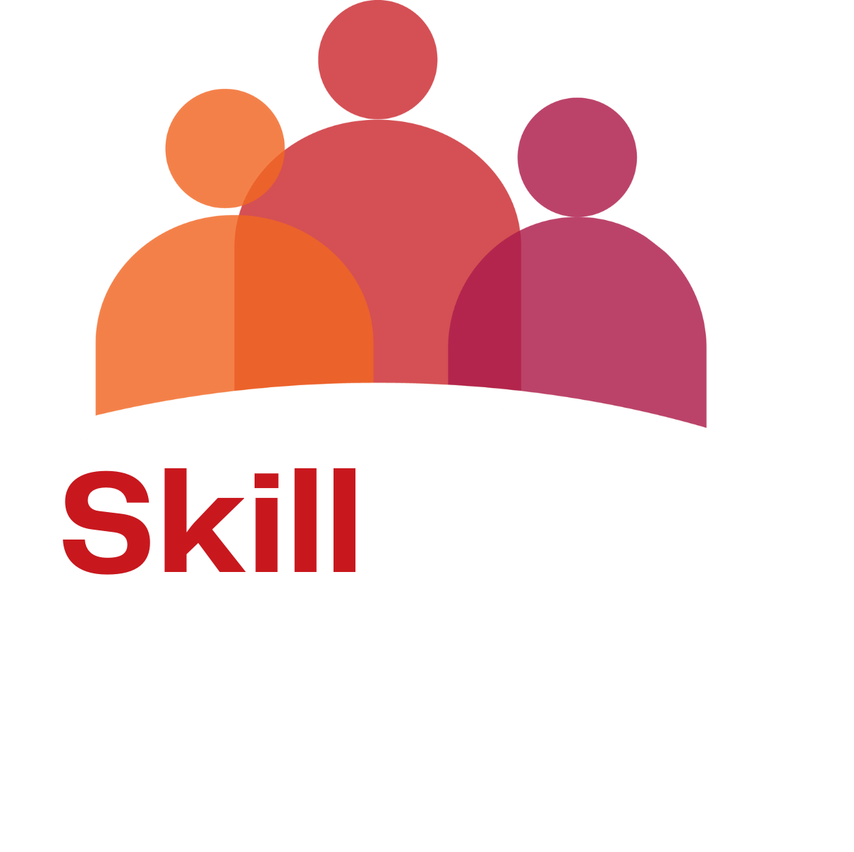 SkillBridge NB Logo